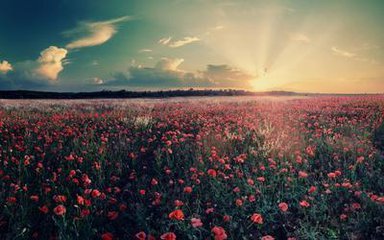 選擇測功機主要看什么