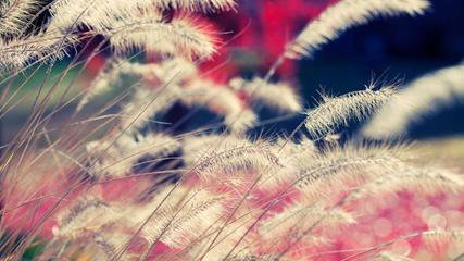 �������ڸ��N�h(hu��n)�������ӷ��o